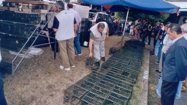 Fiera degli uccelli, via libera dall’Asl