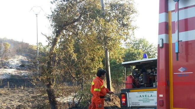 Due ettari di macchia distrutti dalle fiamme