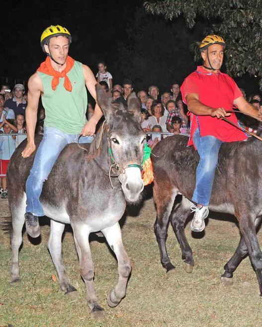 Al Confine il Palio dei ciuchi dopo la squalifica di due rioni