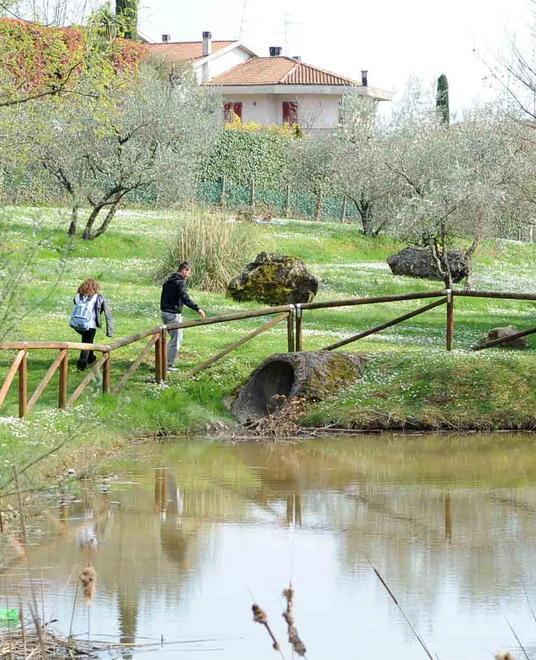 Ratti dal lago del parco Aringhese 