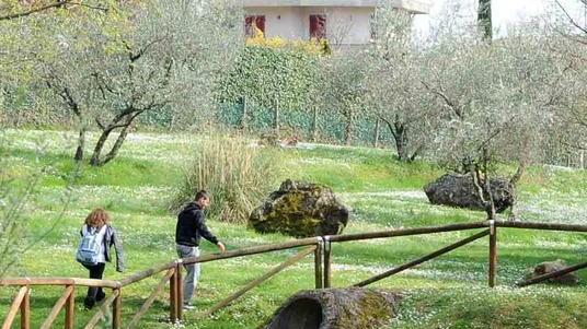 Ratti dal lago del parco Aringhese