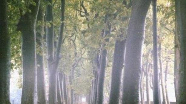 Fotografie delle Mura, è l’ora del voto