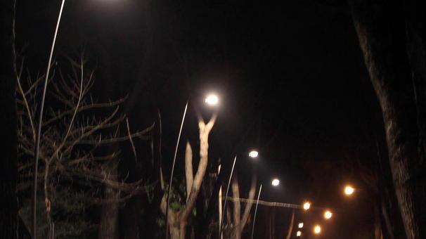 Illuminazione il servizio va alla francese Citelum