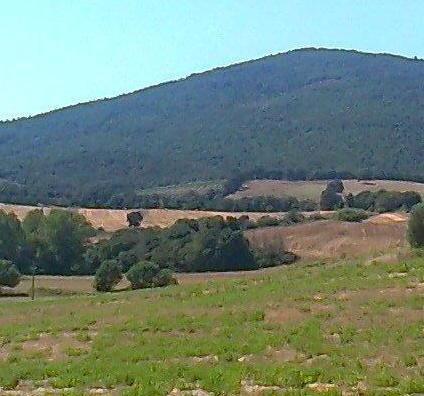 I comitati contro il campo da golf 