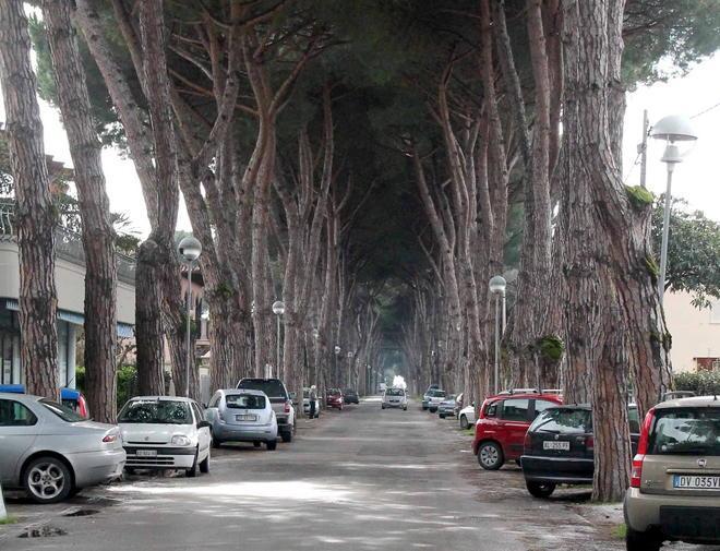 «Via Cavova impraticabile per le buche» 