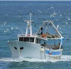Contributi della Regione ai pescasportivi