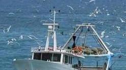 Contributi della Regione ai pescasportivi
