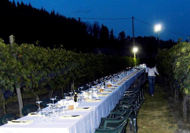 Cena in vigna