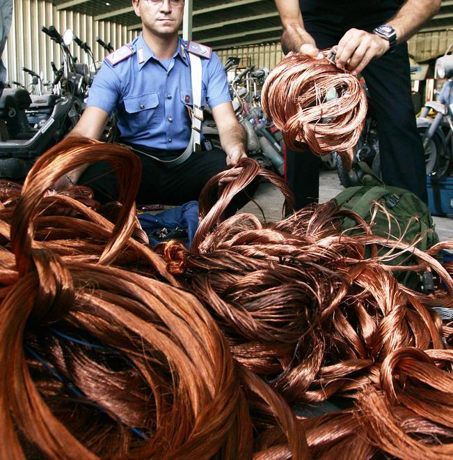 Sul mercato illegale viene venduto a 3 euro al chilo 