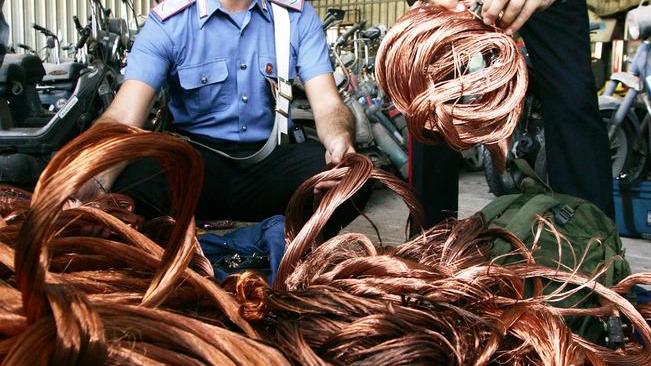 Sul mercato illegale viene venduto a 3 euro al chilo