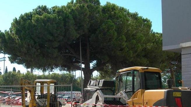 Tre mesi di cantieri in centro fra via Rosselli e Don Minzoni