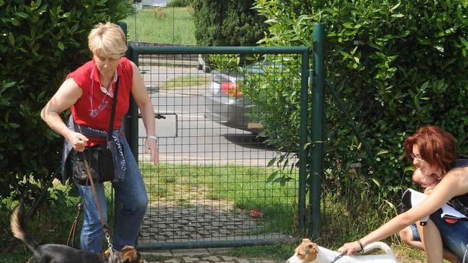 Bar e biblioteche aperte agli animali