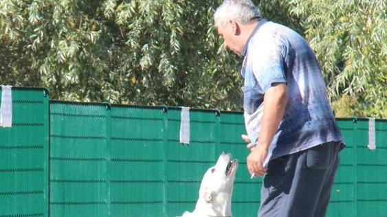 Una nuova area a misura di cane nel parco di Corea
