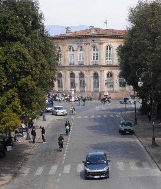E intanto si sfoltiscono le chiome: più leggere del venti per cento