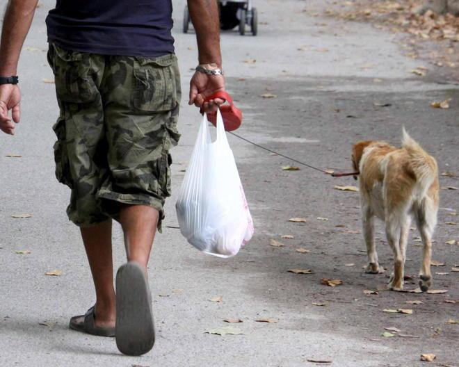 Collare elettrico al cane, denunciato il padrone 