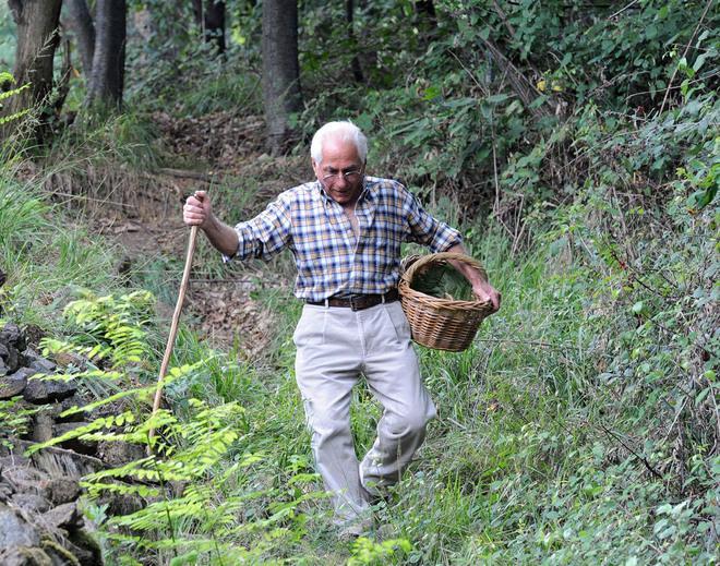 I funghi scarseggiano, ma sarà invasione 