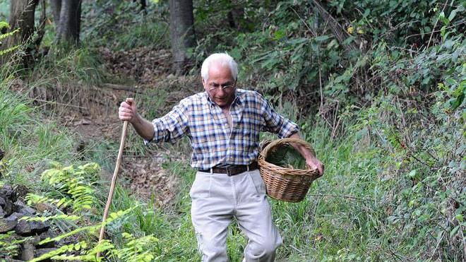 I funghi scarseggiano, ma sarà invasione