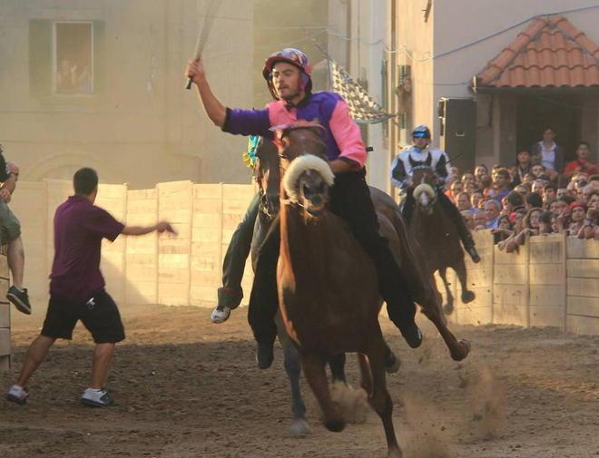 Palio, ecco i cavalli che correranno 