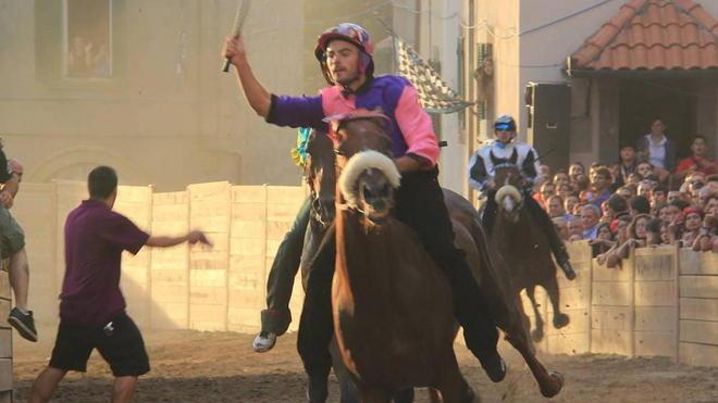 Palio, ecco i cavalli che correranno