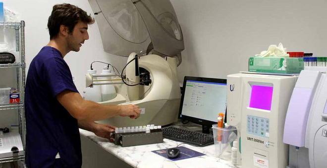 Veterinari in prima linea: ecco la clinica aperta h24 