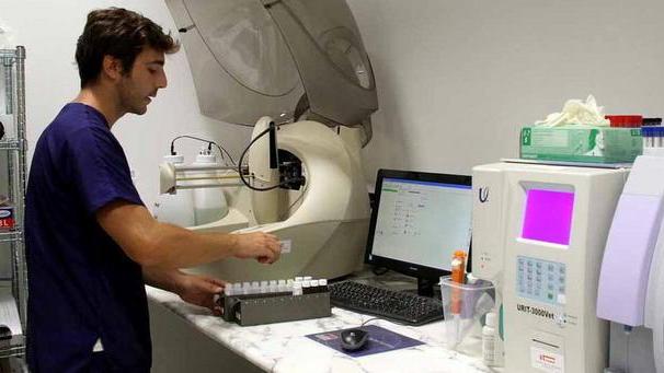 Veterinari in prima linea: ecco la clinica aperta h24