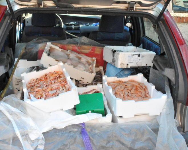 Vende abusivamente trenta chili di pesce, fermato e multato 