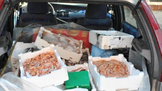Vende abusivamente trenta chili di pesce, fermato e multato