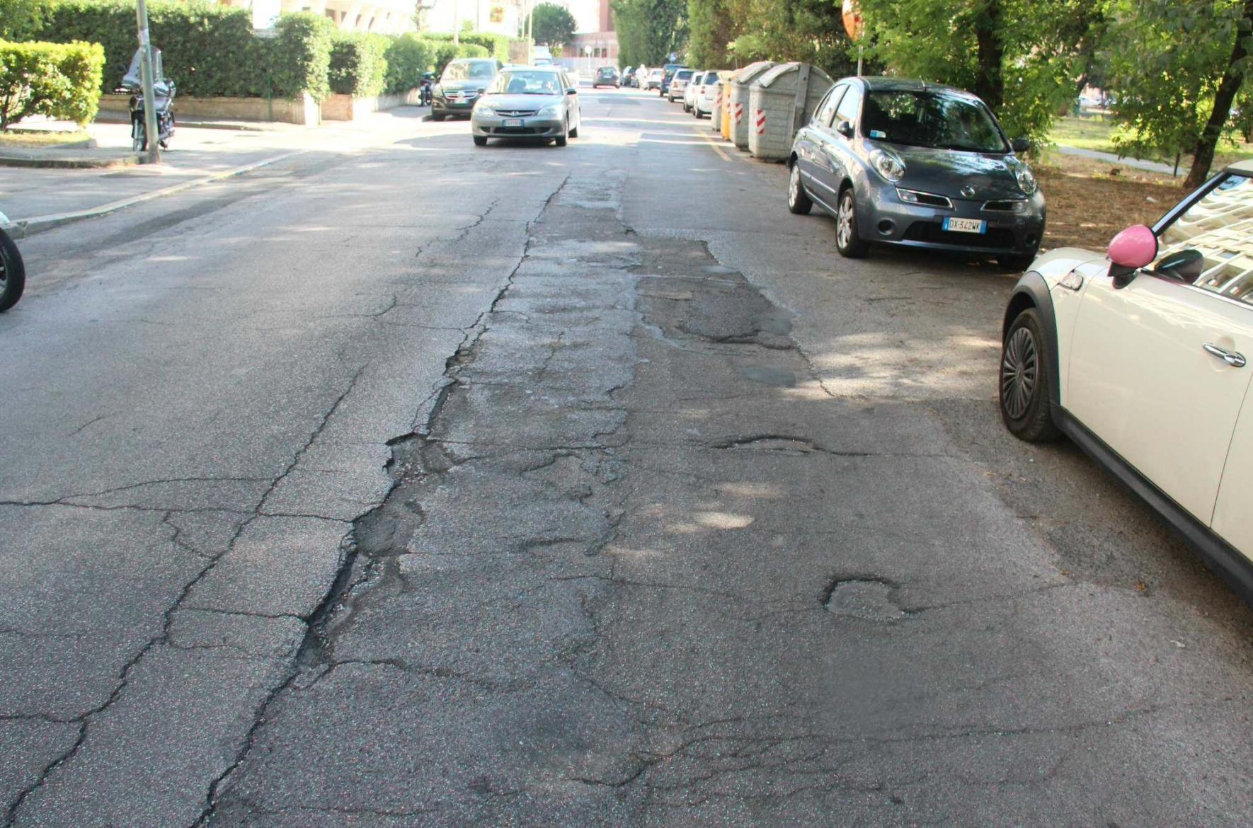Viale dei Pini dissestato: “Manca la manutenzione” 