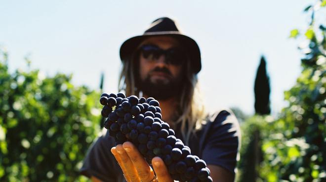 Le vigne Castellani sbarcano al festival del cinema basco