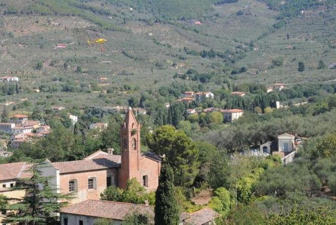 Gli ontani attaccati da un parassita I rimedi sono costosi