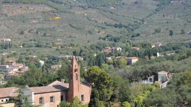 Gli ontani attaccati da un parassita I rimedi sono costosi