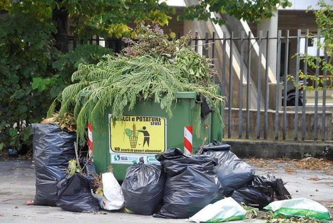 Necessarie le potature ma anche l’educazione civica