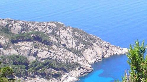 Bando per visitare Montecristo