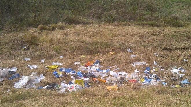 Una discarica nel cuore del Padule di Fucecchio