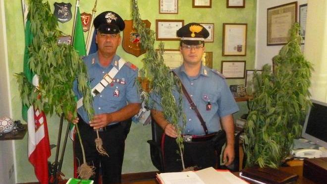 Sull’argine la droga dei giovani
