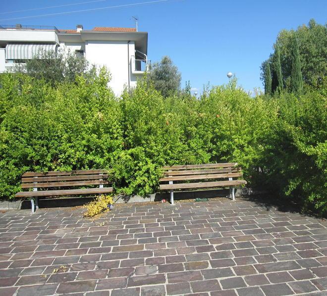 Giardino sporco, incolto e senza luce
