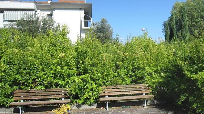 Giardino sporco, incolto e senza luce