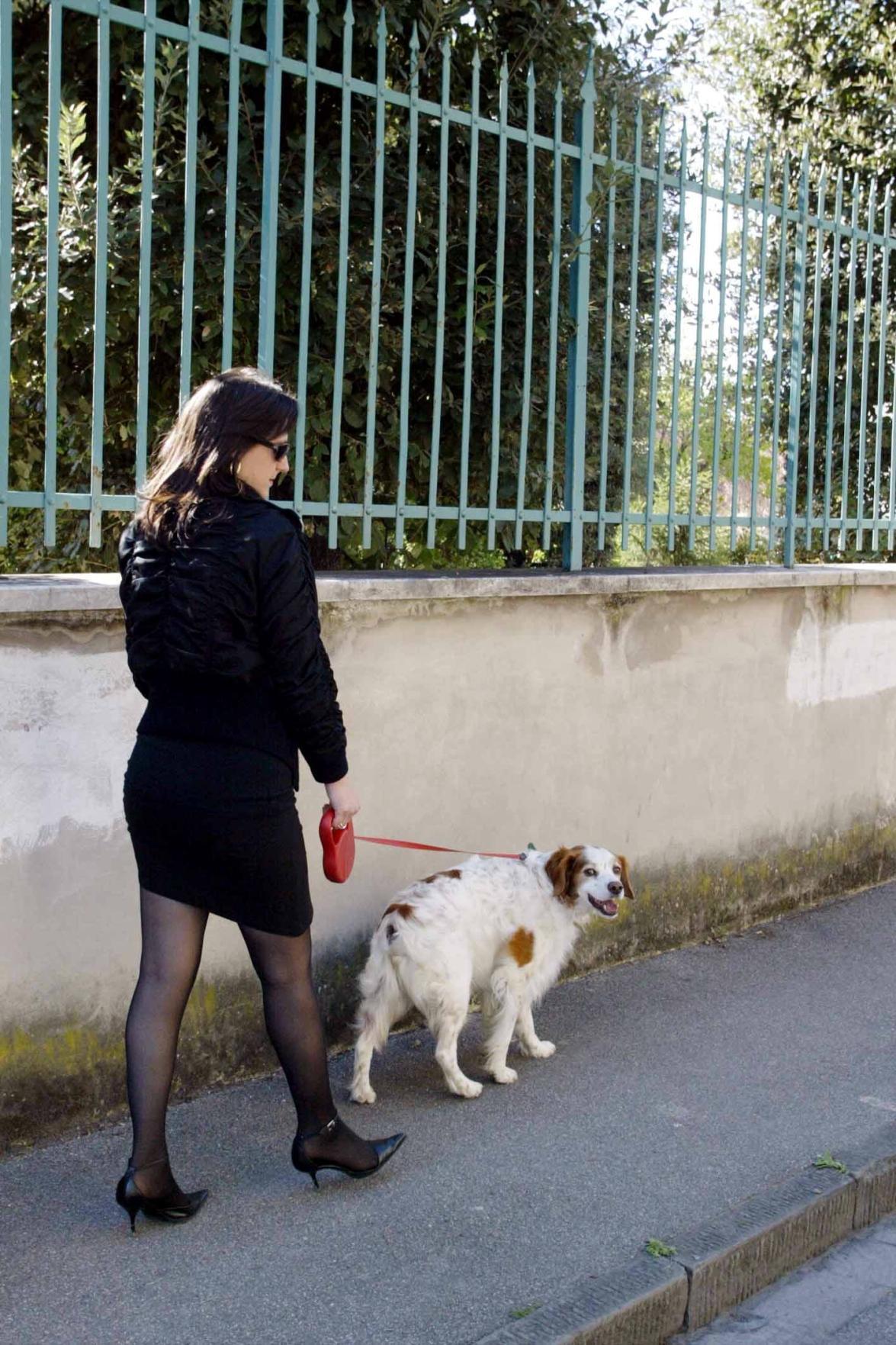 Il guinzaglio corto e tante nuove regole per chi ha un cane 