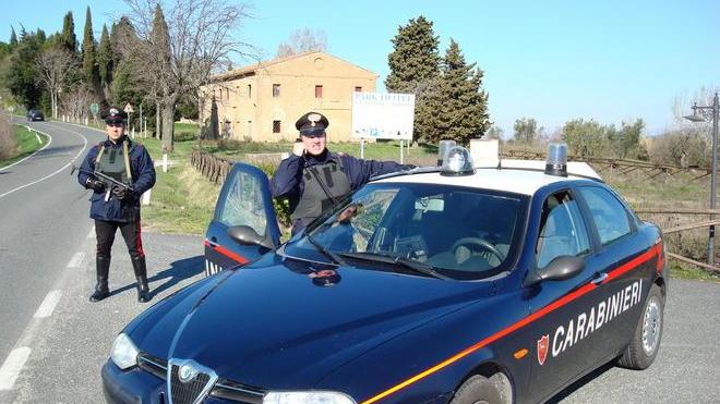 Loro sono al mercato, i ladri svaligiano il podere
