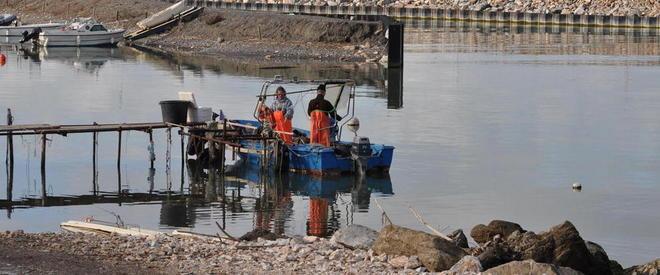 I pescatori danno l’ok al codice Bandiera blu «Tutelano l’ambiente» 