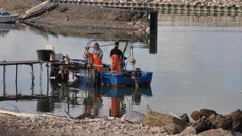 I pescatori danno l’ok al codice Bandiera blu «Tutelano l’ambiente»
