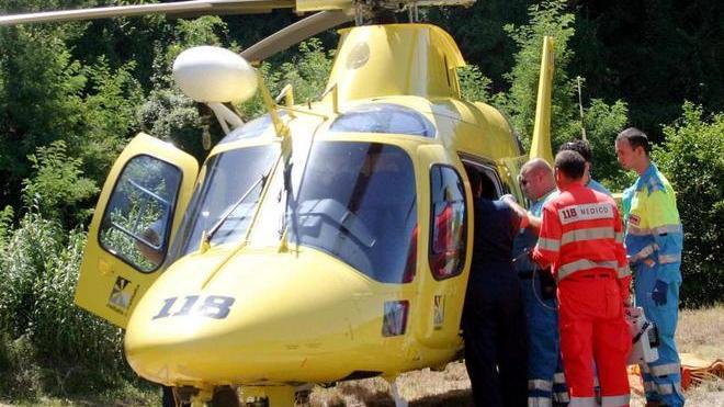 Colpito alla testa da un ramo a Montespertoli: è gravissimo