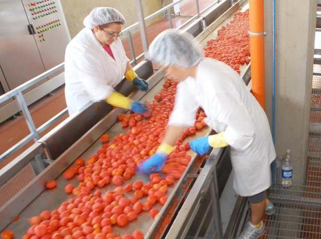 Italian Food, dipendenti in allarme per il lavoro 