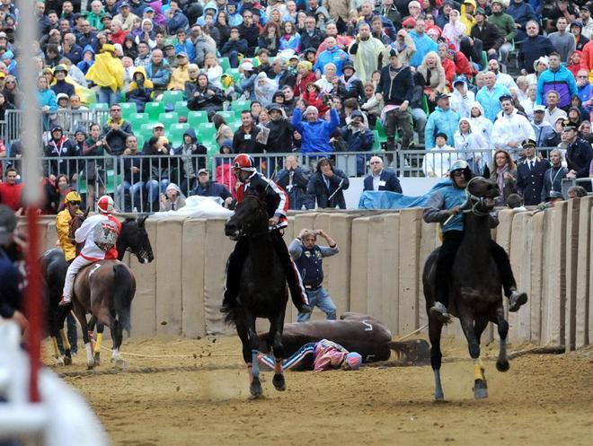 Muore cavallo al canapo, sospeso il Palio di Asti 