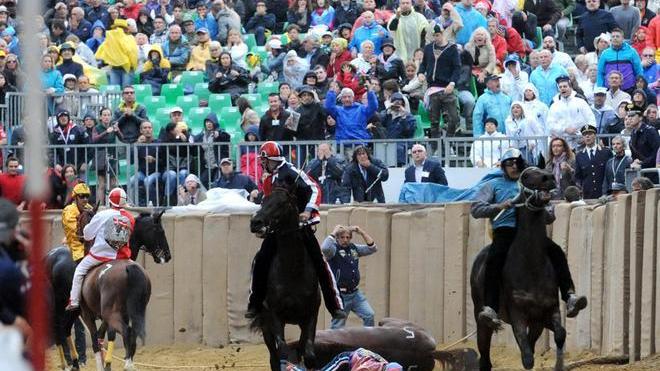 Muore cavallo al canapo, sospeso il Palio di Asti