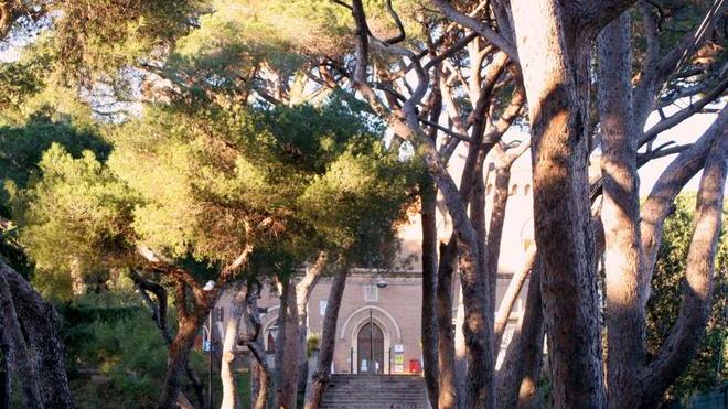 Il “pasticcio” del bando per il Piano pineta