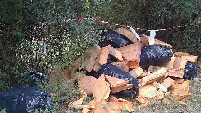 Scoperta una discarica nel cuore delle Cerbaie