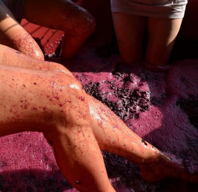 Vino e turismo, risorse inesauribili 