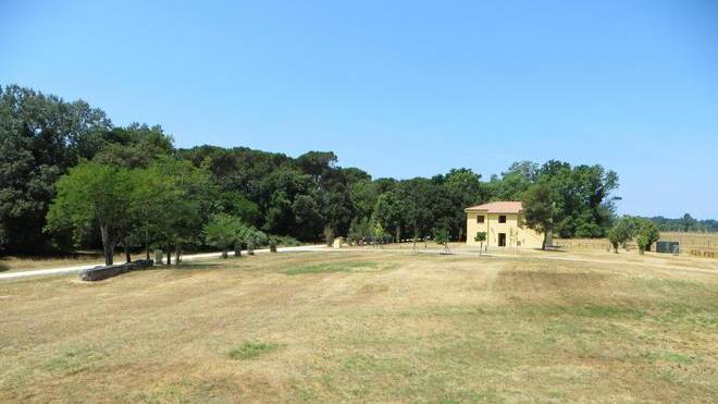 Dieci posti per il servizio civile al Parco di Migliarino