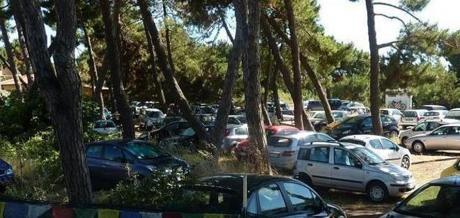 «Ora più decoro e tutela per la pineta» 